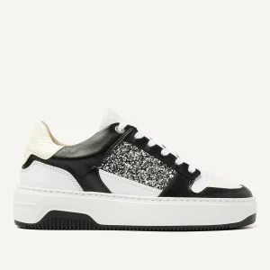 Flash Sale Basket Court Women Sneakers