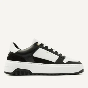 New Basket Court Women Sneakers