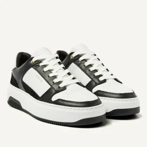 New Basket Court Women Sneakers