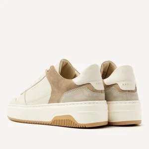 Cheap Basket Court Women Sneakers