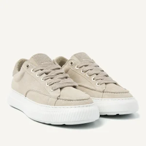 Flash Sale Caldera Tora Sneakers