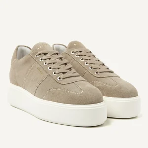 Outlet Elise Wing Women Sneakers