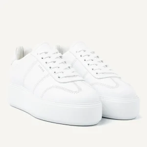 Flash Sale Elise Wing II Women Sneakers