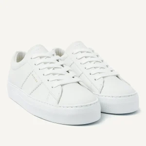 Store Jolie Morris Women Sneakers