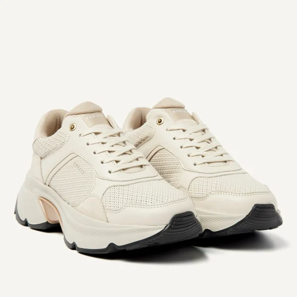 Clearance Ross Jaden Women Sneakers
